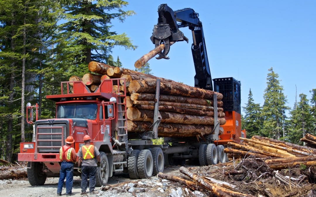 Off-Highway Log Truck Driver (“Fat Truck” / Heavy Hauler)