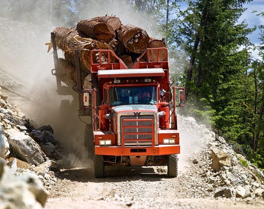 Off-Highway Log Truck Driver