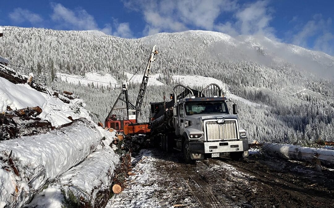 On-Highway Log Truck Driver