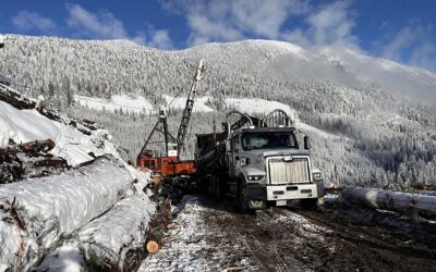 On-Highway Log Truck Driver