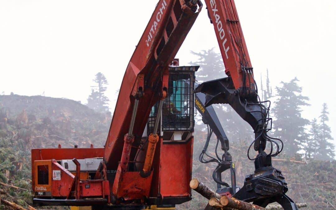 Log Loader Operator – Newcastle Timber